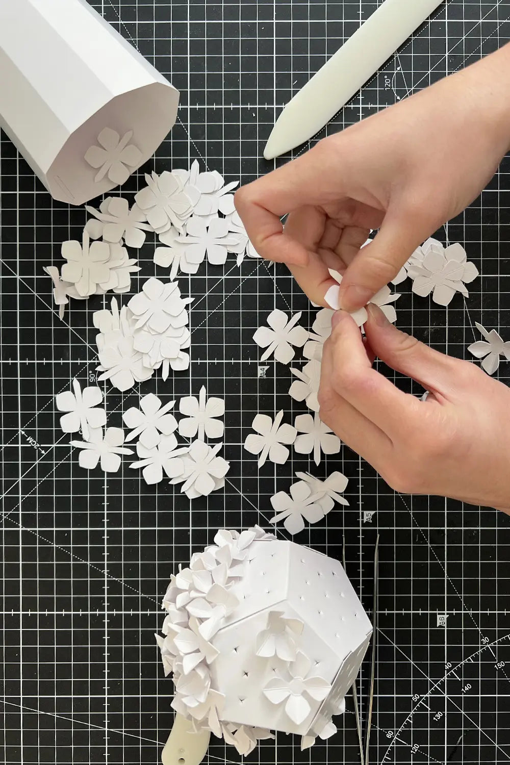 Atelier Cinqpoints x Agnès b.