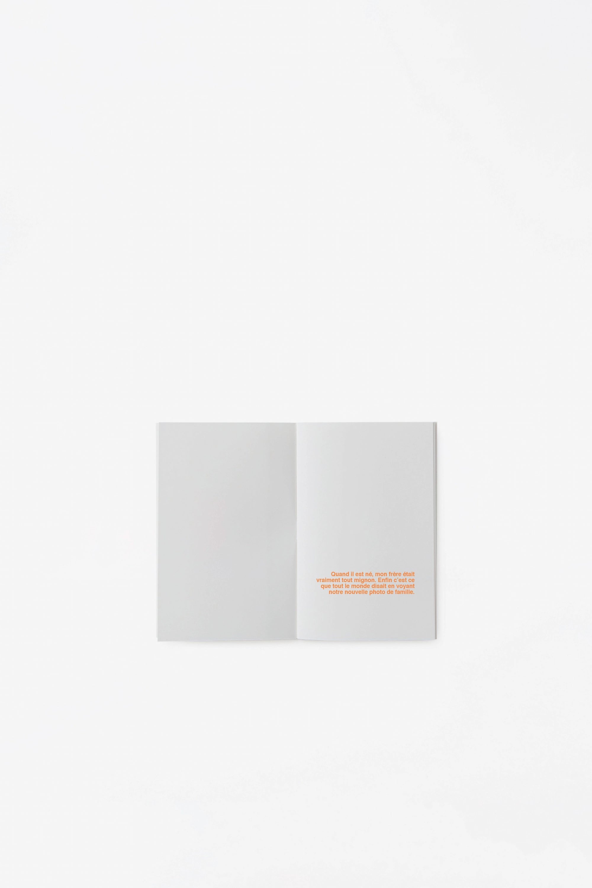 Histoires À illustrer - Mon frère est un démon