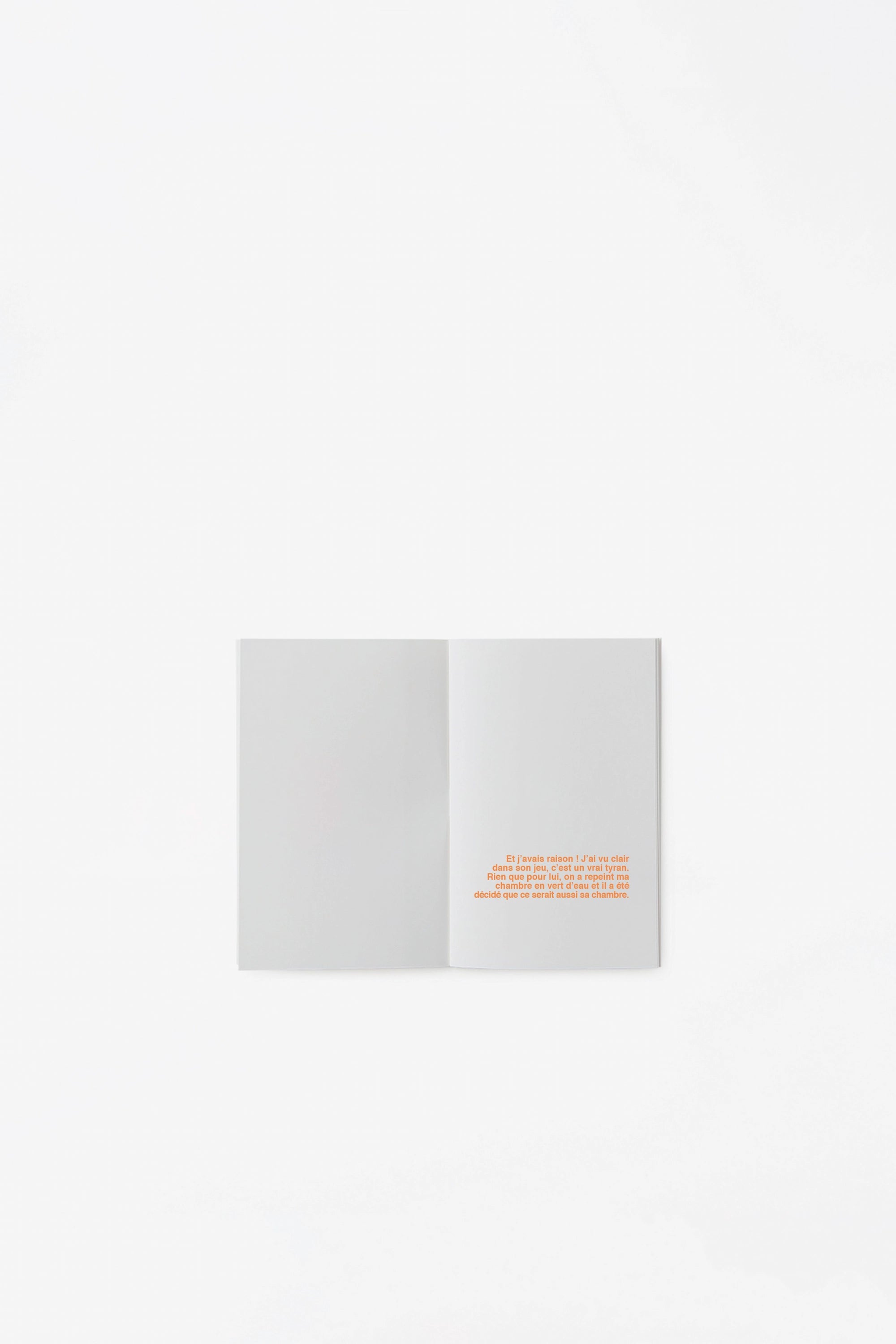 Histoires À illustrer - Mon frère est un démon