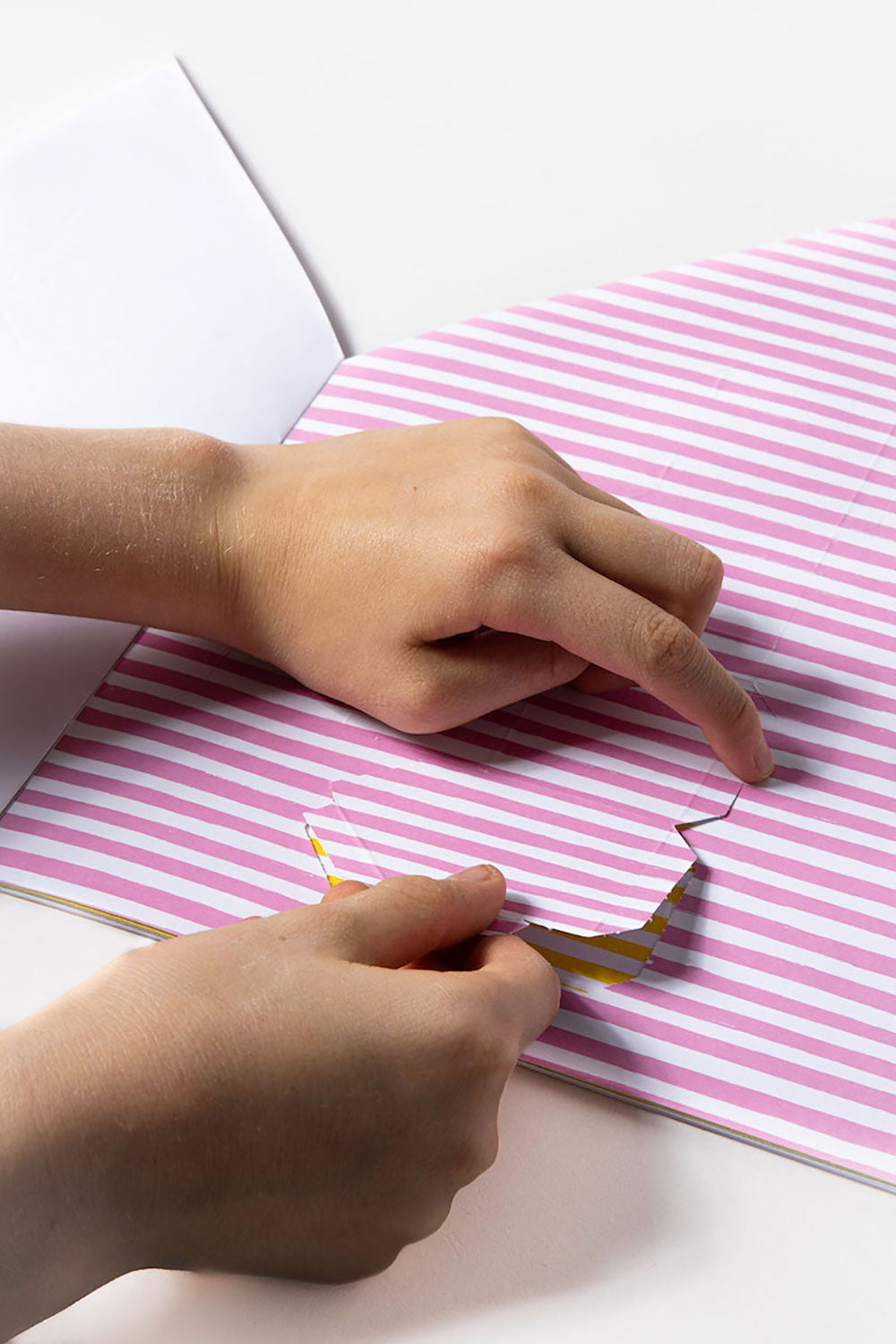 Cahier d'activités - Archibook Cabins