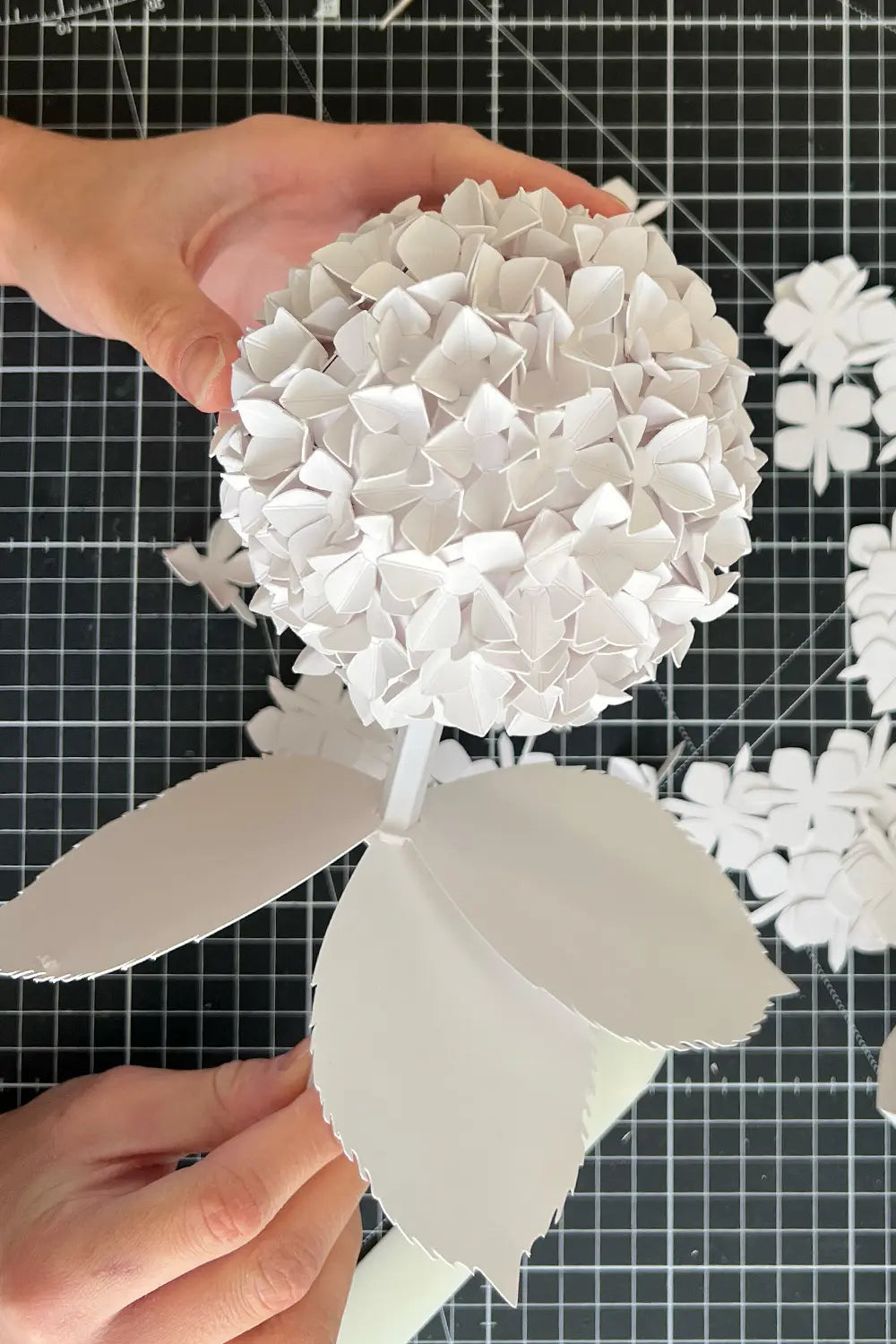 Atelier Cinqpoints x Agnès b.