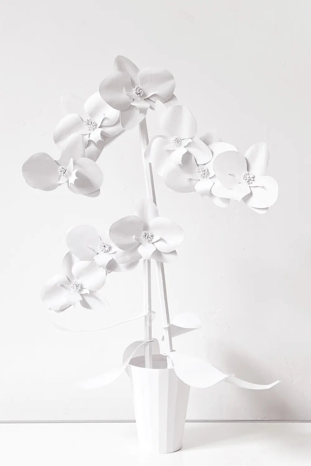 Atelier Cinqpoints x Agnès b.